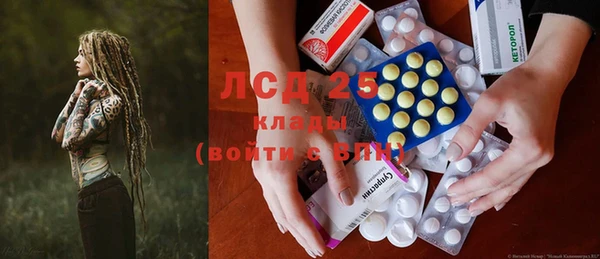 PSILOCYBIN Медвежьегорск
