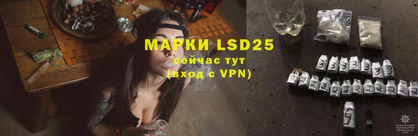 PSILOCYBIN Медвежьегорск